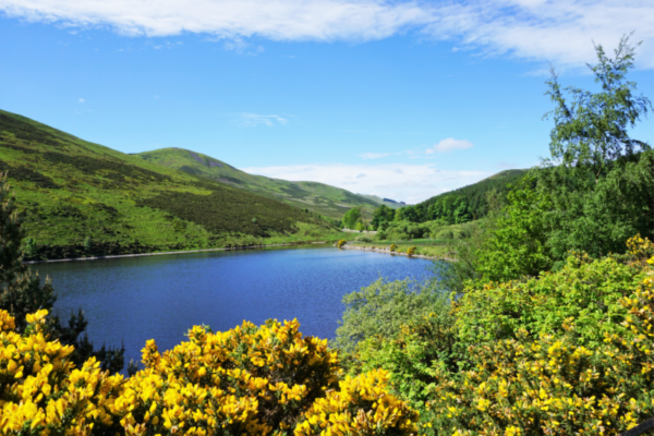 Pentland Hills Regional Park 3 e1629471434150