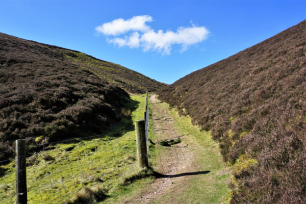 Pentland Hills Regional Park 4 e1629471428832