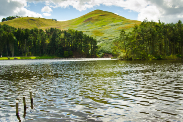 Pentland Hills Regional Park 7 e1629471407543