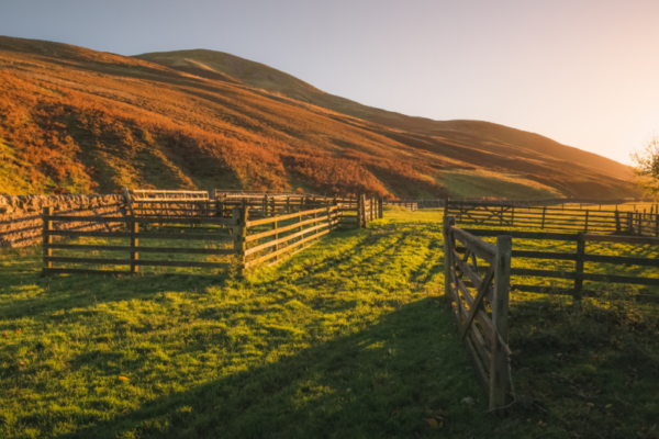 Pentland Hills Regional Park e1629471400501